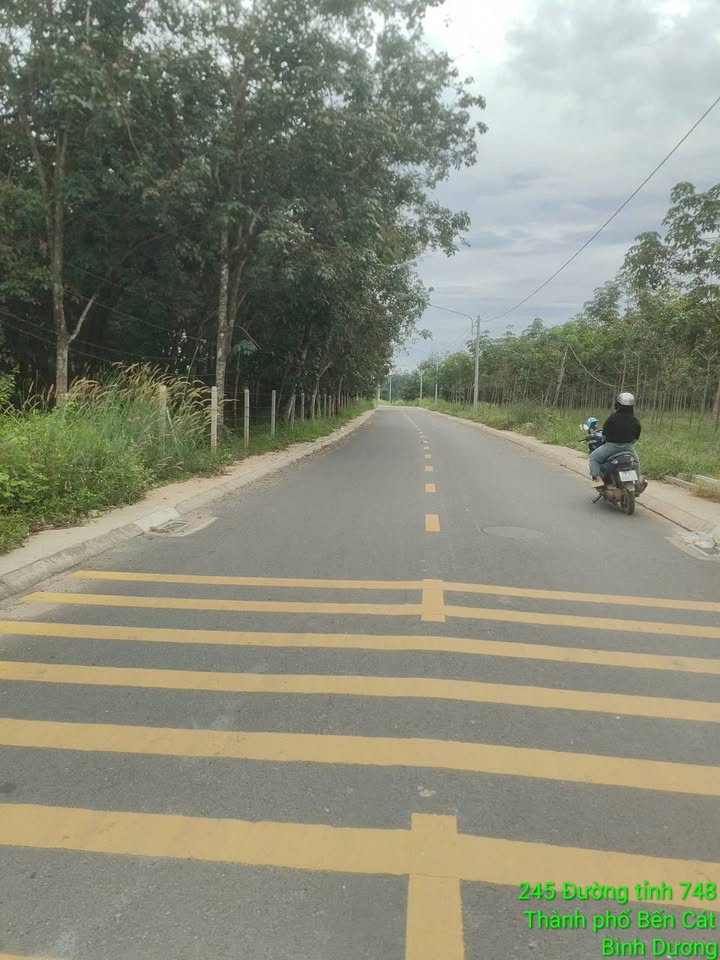 Bán đất thị xã Bến Cát, tỉnh Bình Dương, giá 3 tỷ