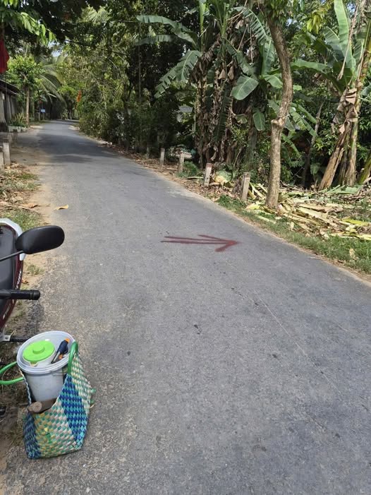 Cần bán đất mặt tiền đường nhựa xã Tân Thạnh Tây, Mỏ Cày Bắc, Bến Tre cũ, giá 800 triệu