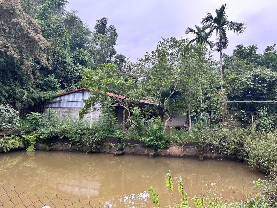 Bán nhà vườn Yên Thế, 1.437m² đất siêu rộng, có sẵn nhà cấp 4 đầy đủ công năng, phù hợp để làm trang trại