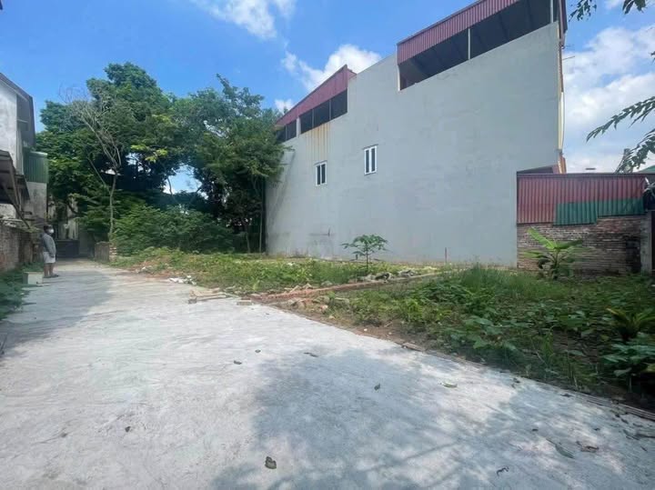 Bán gấp mảnh đất tại Đức Hiệp, Thuận Thành, Bắc Ninh, 50m2, mặt tiền 5m, giá tốt 1.55 tỷ