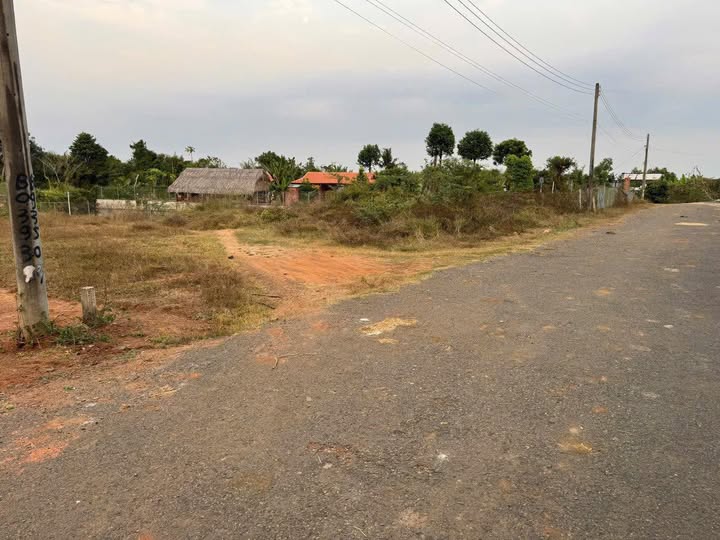 Cần bán 1000m2 đất nông nghiệp đường nhựa 84, Long Phước, thành phố Bà Rịa cũ