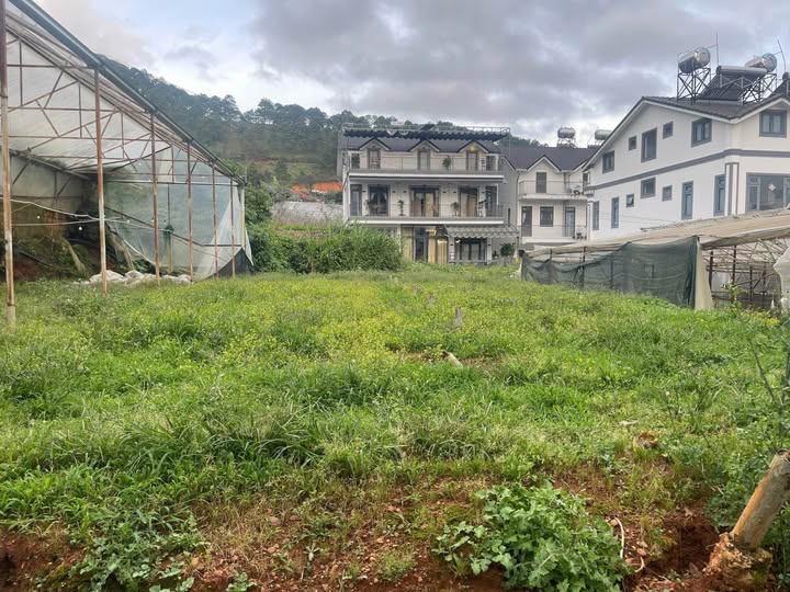 Cần bán lô đất xây dựng Thái Phiên, Đà Lạt, diện tích 209m2, giá 5 tỷ