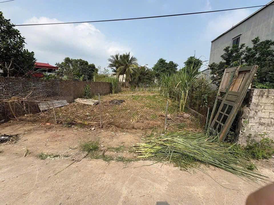 Bán lô đất tại Phúc Lâm, Phúc Tiến, Phú Xuyên, Hà Nội