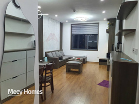 Cho thuê căn hộ 2 phòng ngủ, 2wc full nội thất tại chung cư Bạch Đằng, giá 7 triệu/tháng