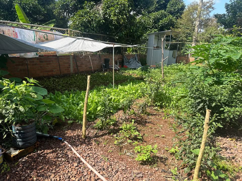 Bán mảnh vườn nhỏ xinh tại phường Bình Lộc, Long Khánh, giá 700 triệu