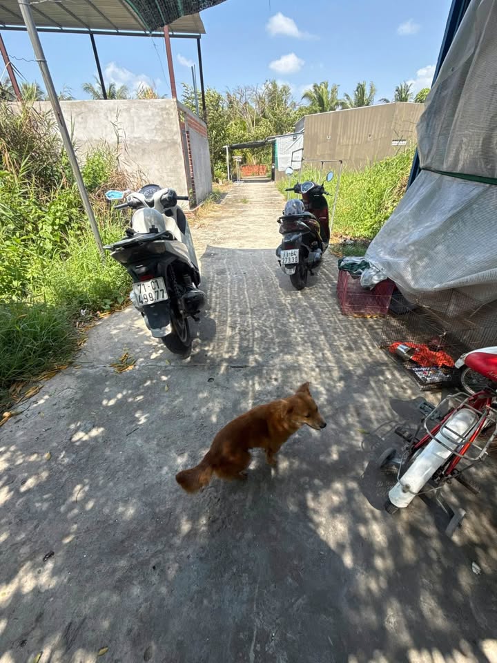 Bán nhà phường Phú Tân, Vĩnh Long mới, đường ô tô, không dính quy hoạch, giá 630 triệu