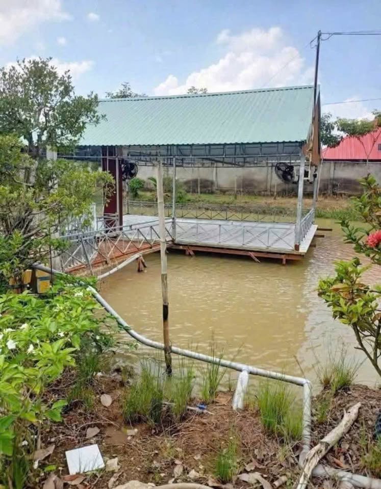 Bán 3.300m² đất vườn sinh thái tại An Thành Trung, Chợ Mới, An Giang, giá thương lượng