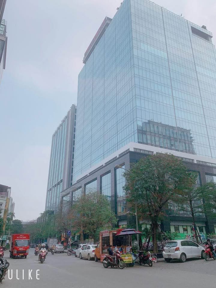 Bán nhà 7 tầng mặt ngõ Hoàng Cầu, ô tô đỗ cửa, kinh doanh đỉnh cao