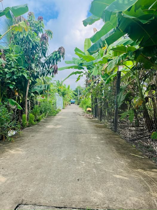 Nền biệt thự đẹp – Vị trí trung tâm Bến Tre