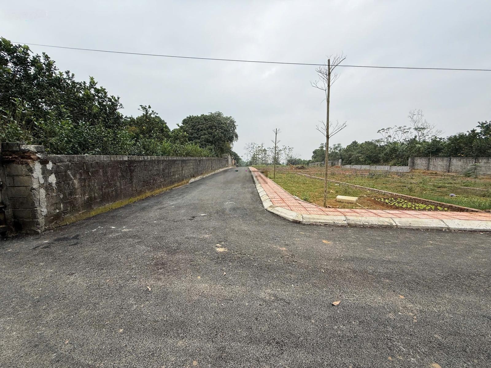 RẺ NHẤT ĐÔNG YÊN HIỆN TẠI Diện tích 118m FULL thổ cư Đơn giá chỉ 1x triệu/m