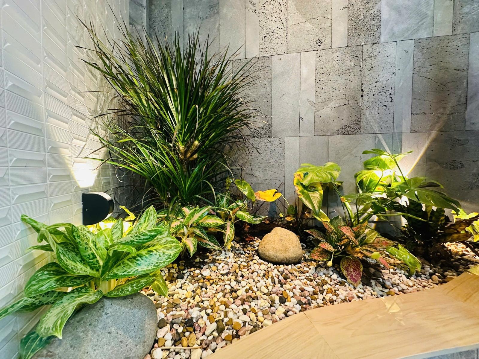 Bán nhà villa mini đường võ thị sáu quận 1, ngay công viên, dt: 9x9m, gồm 3 tầng, 3pn, nhỉnh 8 tỷ.