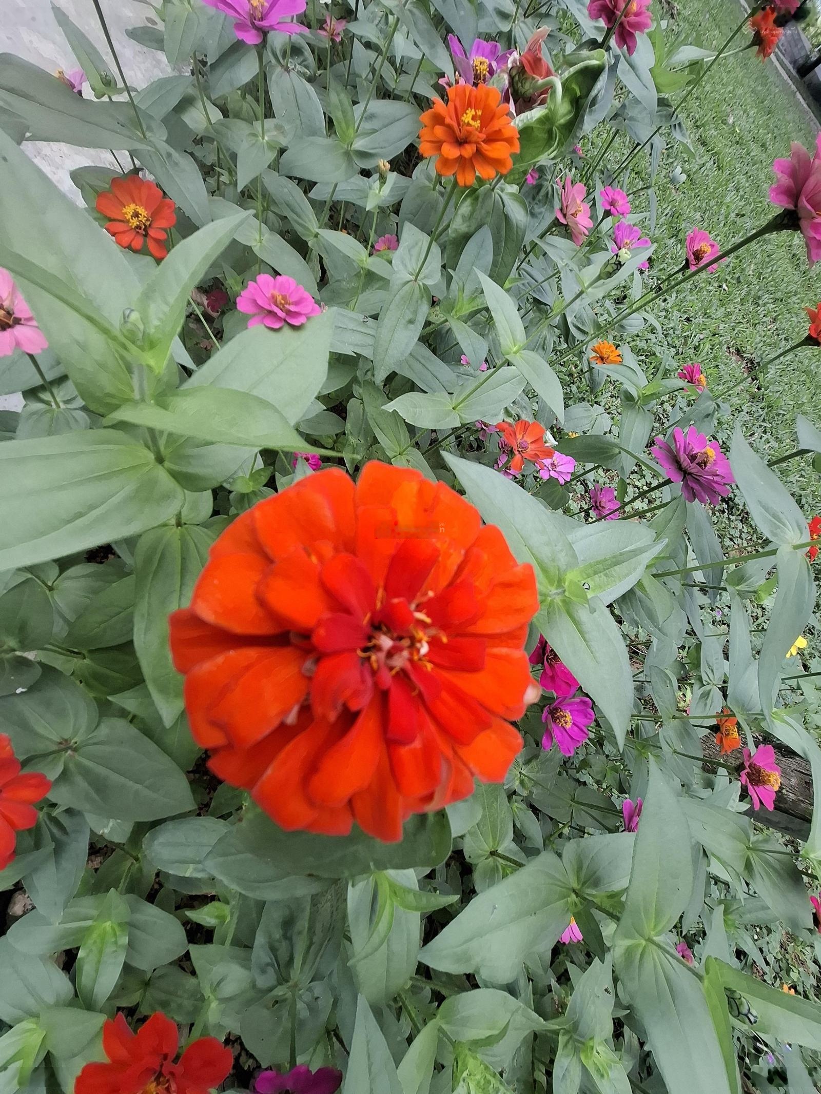 Bán đất đẹp ở ĐT 87, 1,9 tỷ, 150m2, mặt tiền 9m, full đất ở, sổ hông sang tên trong ngày