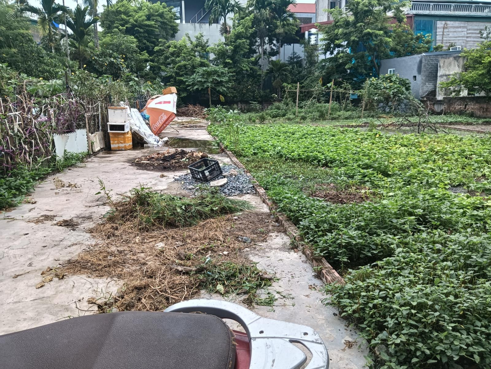 Chính chủ bán đất ;lô góc 3 thoáng -giá đầu tư -cách phố 20m -ngõ nông rộng -giá 1,5 tỷ