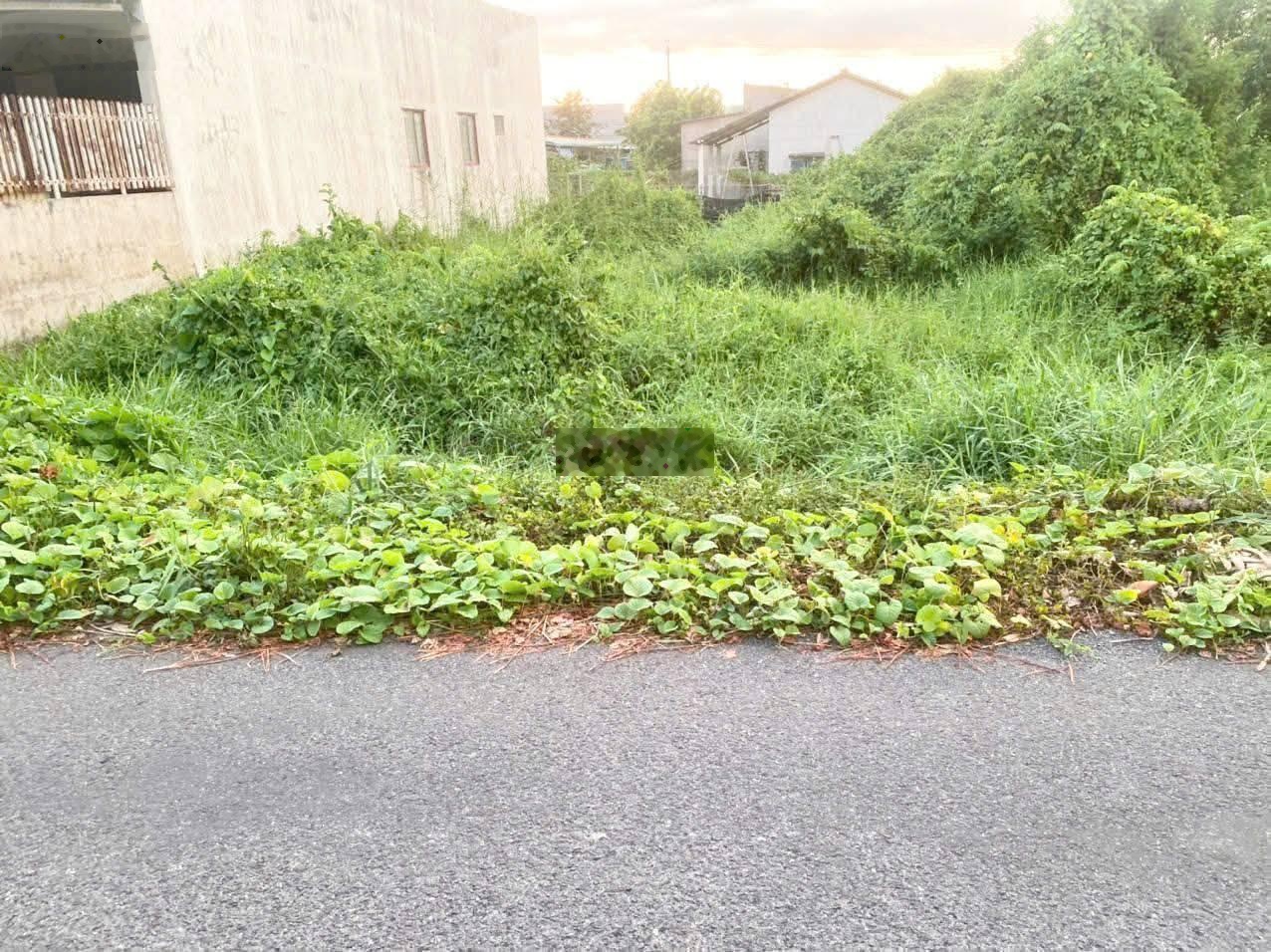 Bán lô đất Ngay Suối Lội, Tân Thông Hội, 105m2 Thổ Cư, SHR, Đường nhựa, Gía chỉ 800 Triệu