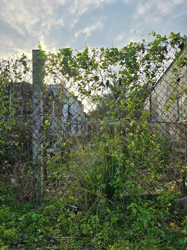 Bán đất mặt tiền sát chợ Hữu Định, Châu Thành, Bến Tre, giá 2.5 tỷ