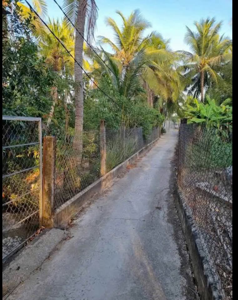 Bán nhà riêng thành phố Bến Tre, tỉnh Bến Tre, giá 600 triệu