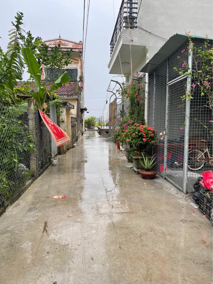 Đất Vũ Chính, Thái Bình 40m2, hướng Tây Nam, ngõ xe máy vi vu, gần khu đô thị Kiến Giang