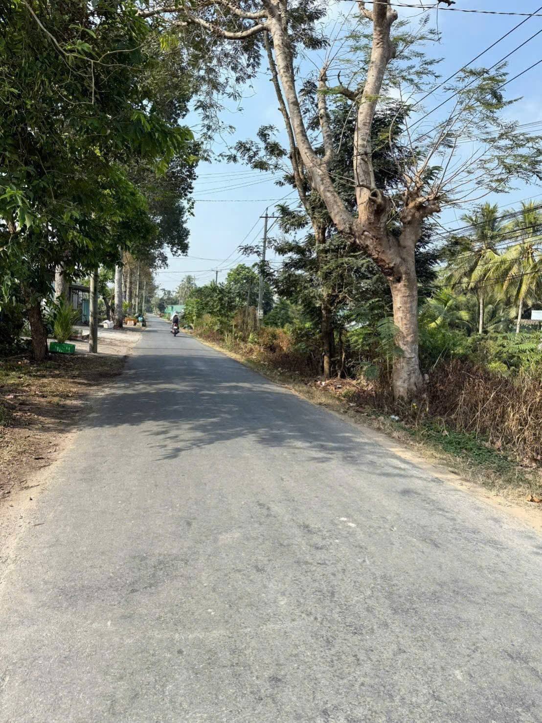 Bán đất thành phố Bến Tre, tỉnh Bến Tre, giá 999 triệu