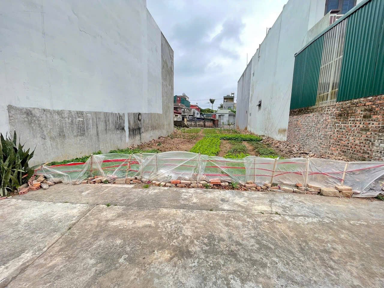 Bán đất thổ cư Thái Bình, 50m2, mặt tiền 3.9m, hướng Nam