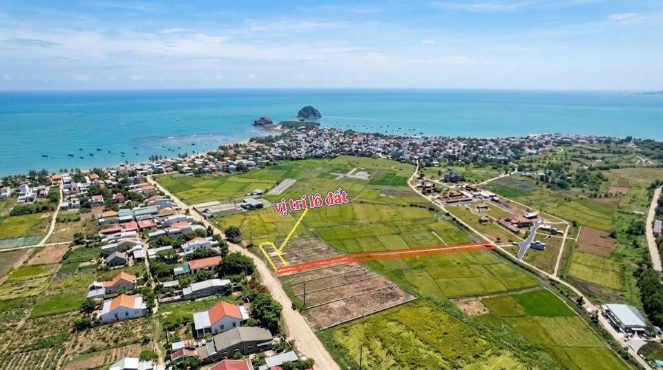 Bán đất nền 160m2, mặt tiền 6.5m gần Ủy ban xã An Hoà Hải, Tuy An, Phú Yên