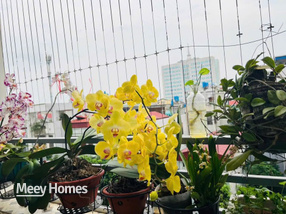 Bán căn chung cư PH toà M3.2, phường Phố Hiến, Hưng Yên