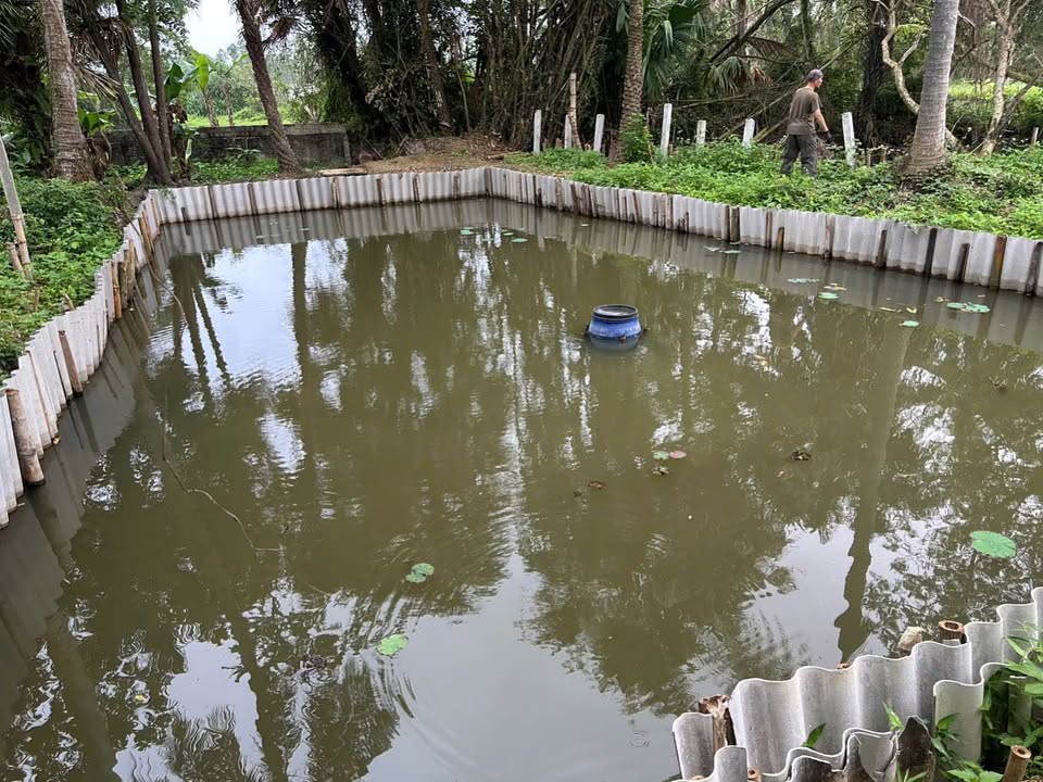 Nhà vườn cổ 615m2 tại Quảng Yên, cơ hội có một không hai