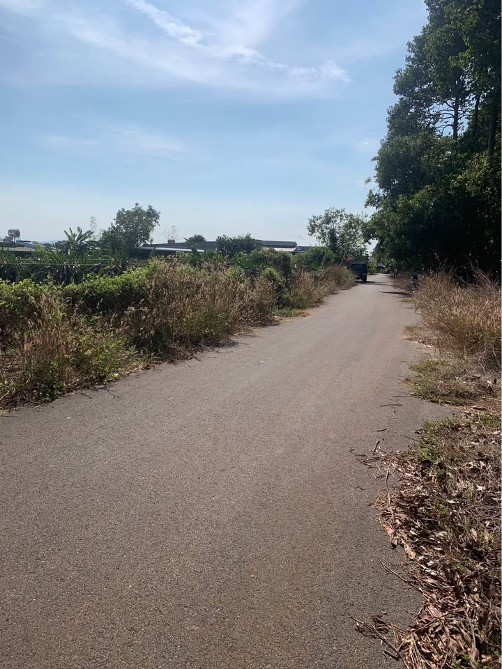 Bán đất huyện Xuyên Mộc, tỉnh Bà Rịa, Vũng Tàu, giá 950 triệu