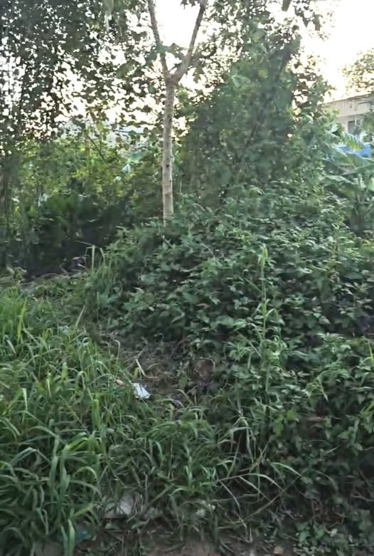 Bán lô góc tại tổ dân phố Lựa, phường Quế Võ, tỉnh Bắc Ninh, ngay khu công nghiệp Quế Võ 3