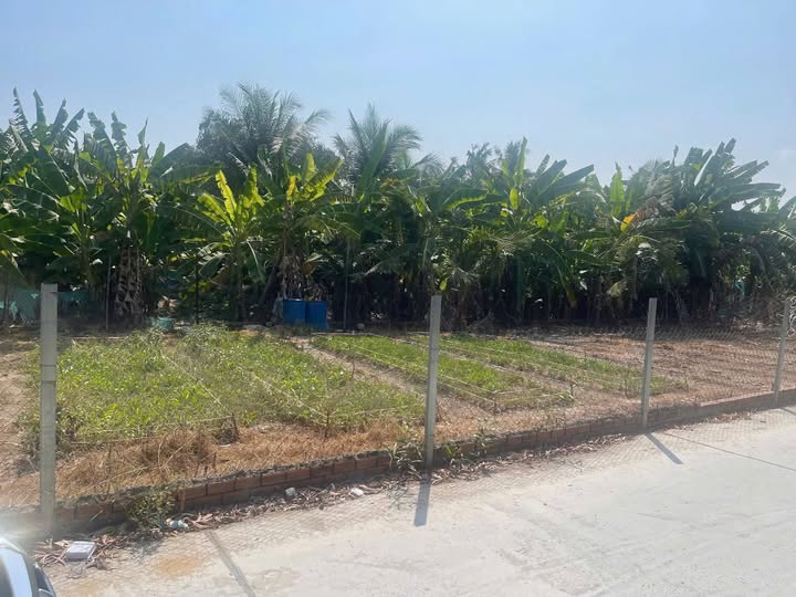 Bán lô góc đẹp tại Phú Hữu, Nhơn Trạch, Đồng Nai, giá 4,8 tỷ