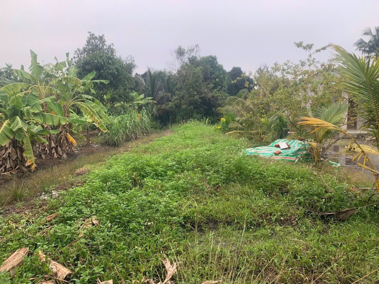 Cần bán đất Phú An, thành phố Hồ Chí Minh, giá 1.9 tỷ