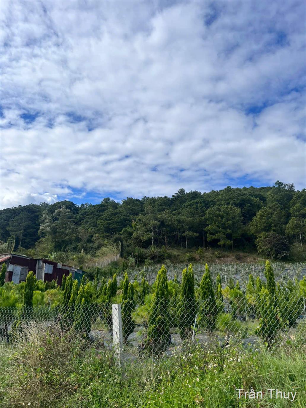 Bán lô đất hướng Nam cực mát tại Thạnh Mỹ, giá chỉ 1 tỷ