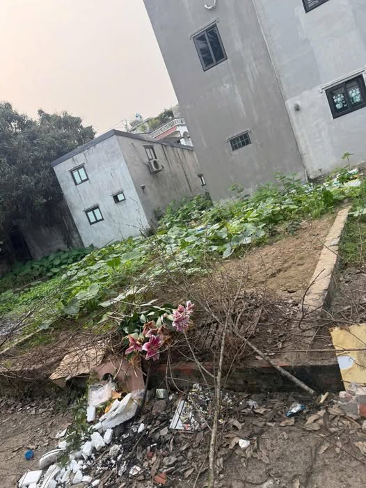 Bán đất huyện Thanh Trì, thành phố Hà Nội, giá 3 tỷ