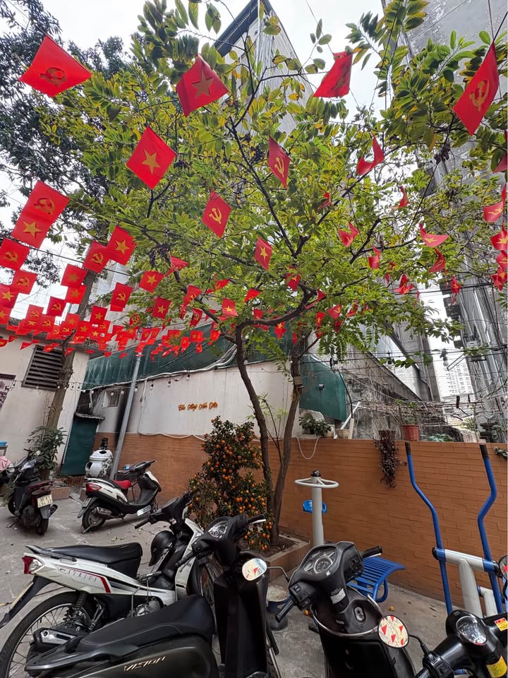 Bán căn hộ tập thể tầng 2 tại Ba Đình, Hà Nội, khu dân trí cao, cực thoáng