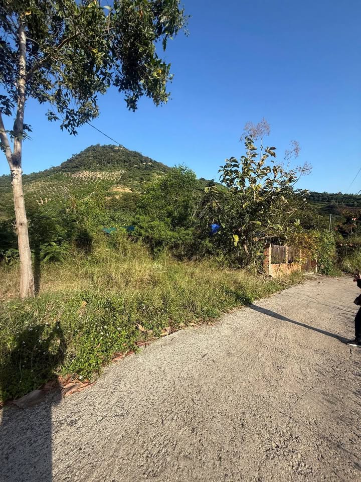 Đất vàng Tân Thành 100m2, ngang 5m, giá 150 triệu/lô, sắm ngay kẻo lỡ