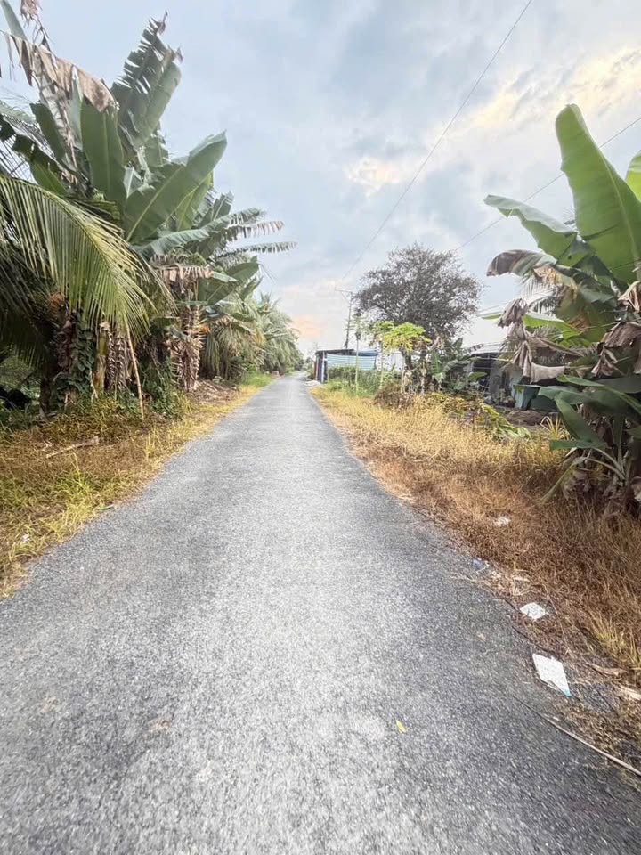 Cần bán đất vườn tại Phú Quới, Long Hồ, view sông mát mẻ, giá 2.55 tỷ