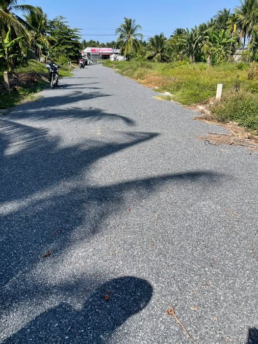 Đất vàng Bình Đại, giá mềm, sổ sẵn, xe tải vi vu