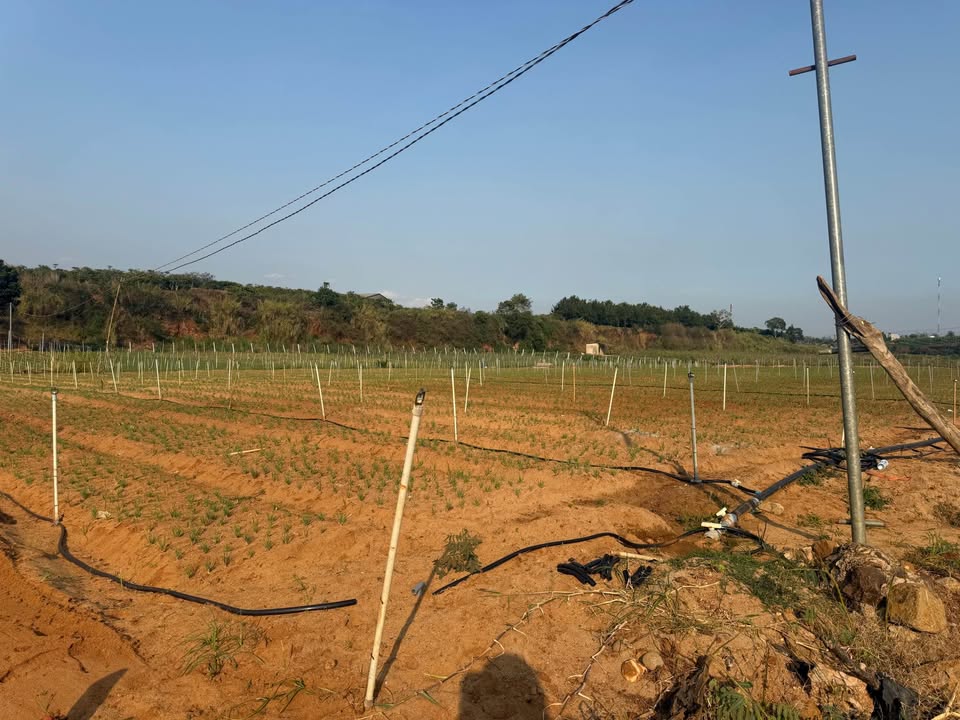 Bất động sản 3000m2 sông thơ mộng, sổ hồng 2025, cơ hội đầu tư vàng