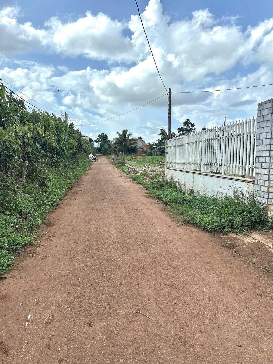 Bán đất vàng 500m2 mặt tiền 20m, gần chợ Kim Châu, Đắk Lắk, cơ hội đầu tư sinh lời