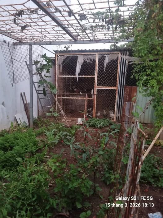 Bán đất huyện Xuyên Mộc, tỉnh Bà Rịa, Vũng Tàu, giá 650 triệu