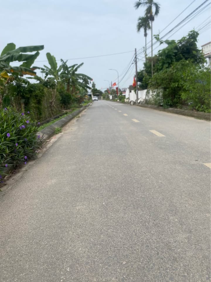 Đất nền An Lão, cơ hội sở hữu viên ngọc hiếm hoi, giá tốt, view thoáng