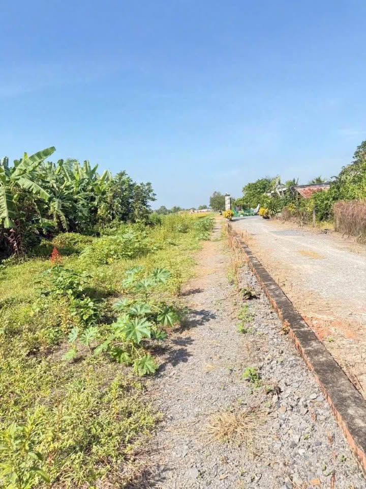 Bán đất huyện Củ Chi, thành phố Hồ Chí Minh, giá 560 triệu