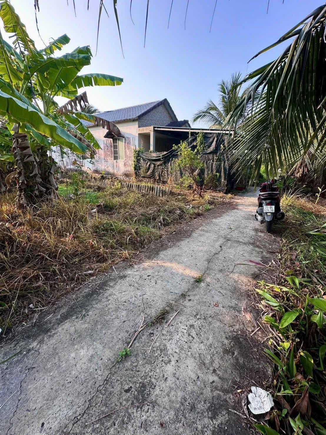 Bán đất thành phố Bến Tre tỉnh Bến Tre, giá 590 triệu