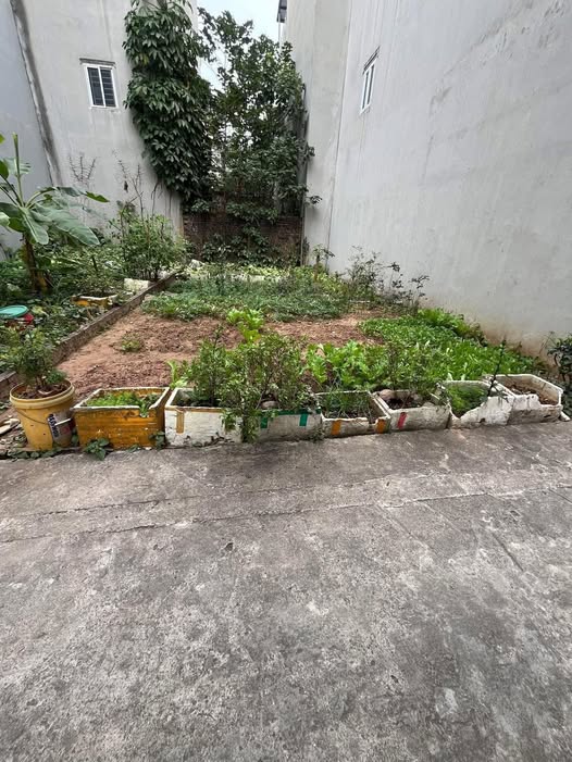 Bán nhà riêng huyện Mê Linh, thành phố Hà Nội, giá 4 tỷ