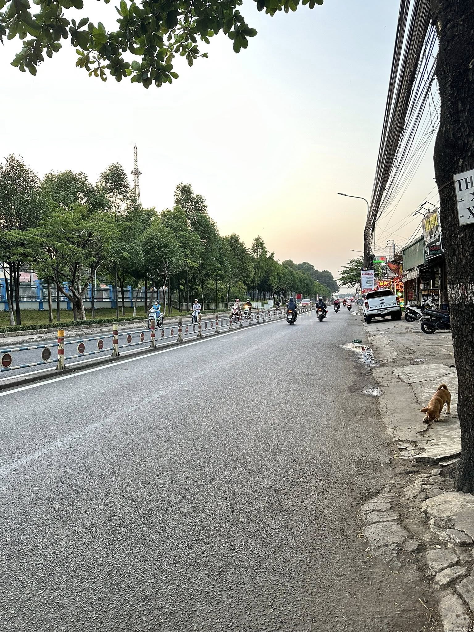 Bán nhà riêng thành phố Biên Hòa, tỉnh Đồng Nai, giá 8,4 tỷ