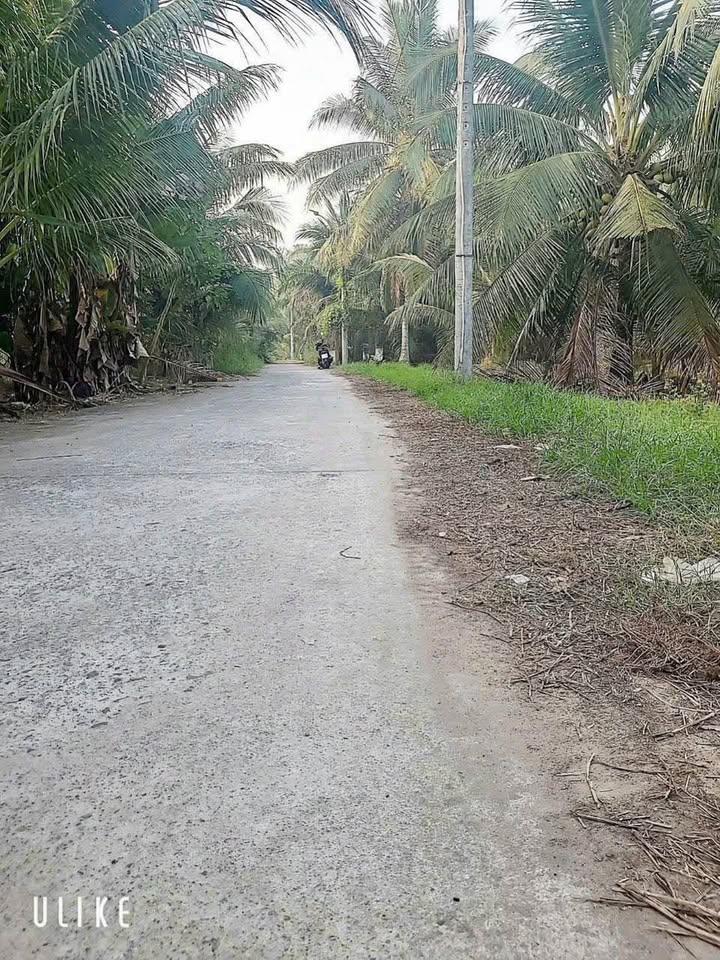 Bán đất 1997m2 nở hậu, đường xe hơi thông tại Sơn Đông, Bến Tre