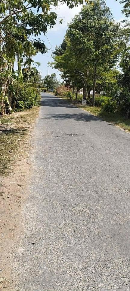 Bán nhà riêng huyện Thạnh Phú, tỉnh Bến Tre, giá 800 triệu