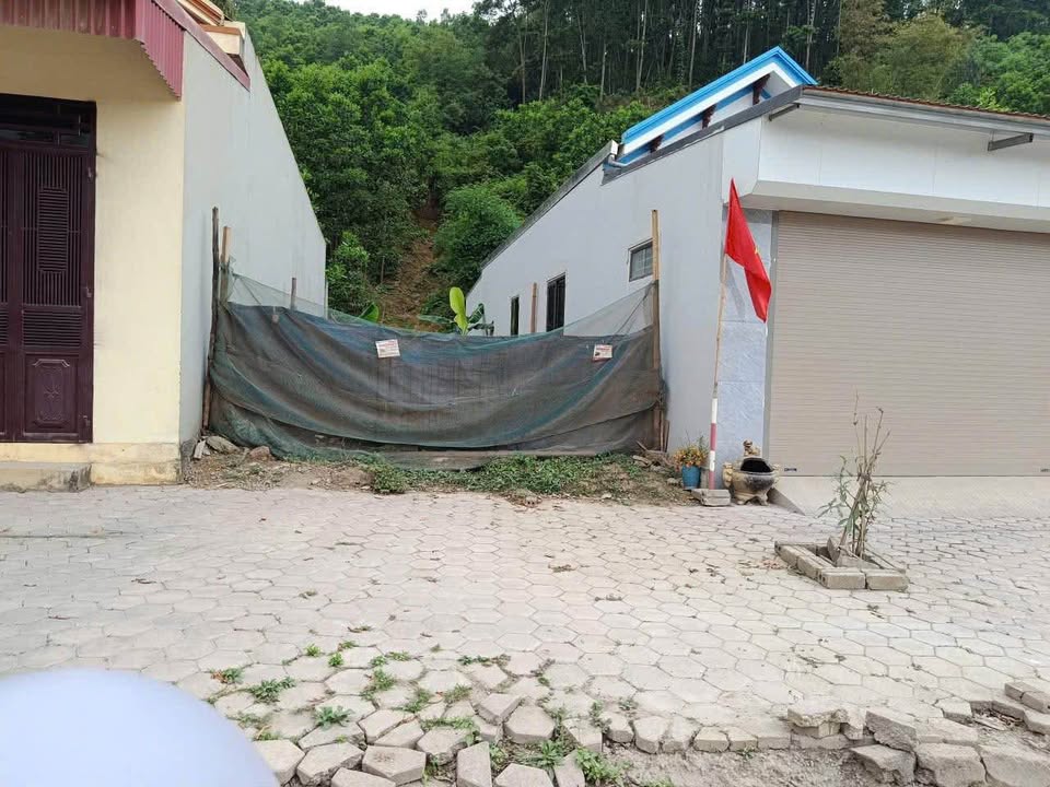 Đất Tân Bình, Tam Điệp vuông vắn, kinh doanh tốt, giá hời