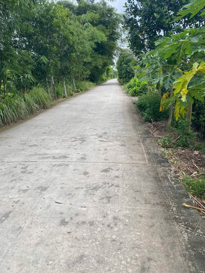 Miếng đất vàng Khánh Lâm, Cà Mau, 5000m2, sổ hồng sẵn sàng