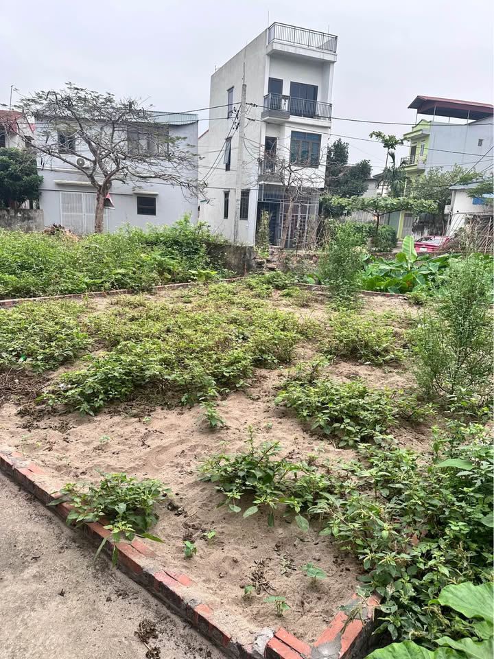 Bán đất huyện Thanh Trì, thành phố Hà Nội, giá 3 tỷ
