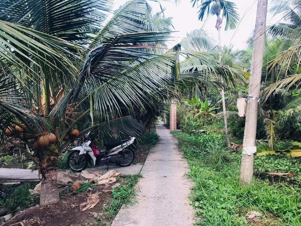 Bán đất huyện Châu Thành, tỉnh Bến Tre, giá 2 tỷ